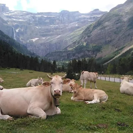 Apartamento Sur Les Pistes *